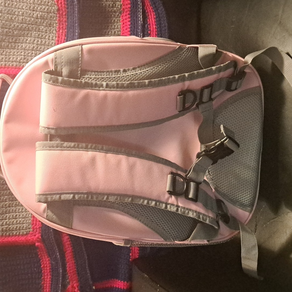Pink Transparent Pet Backpack - Picture 3 of 5